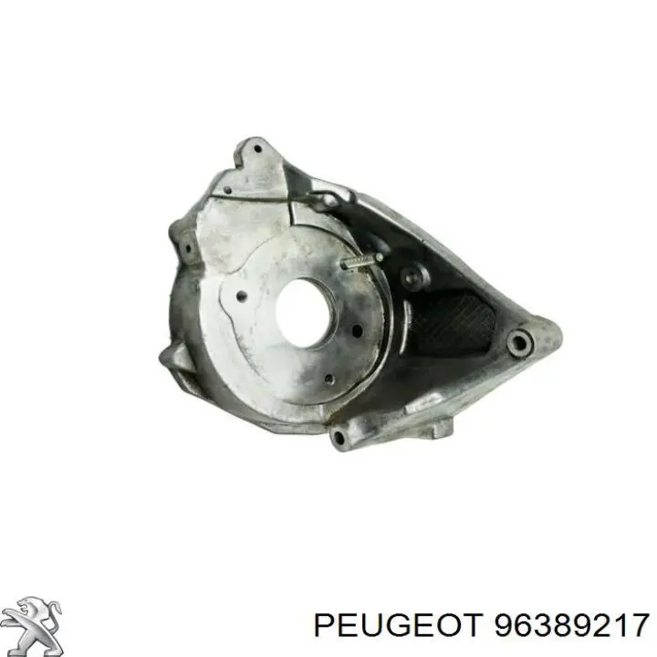 Купити 96389217 Peugeot/Citroen 
