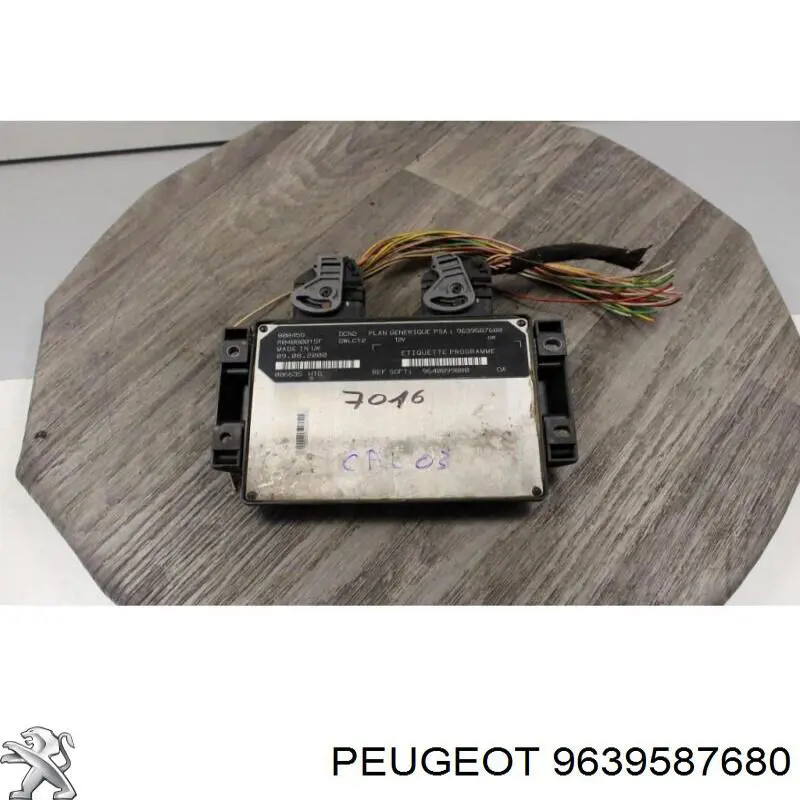 9639587680 Peugeot/Citroen 