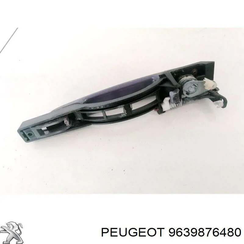 Купити 9639876480 Peugeot/Citroen 