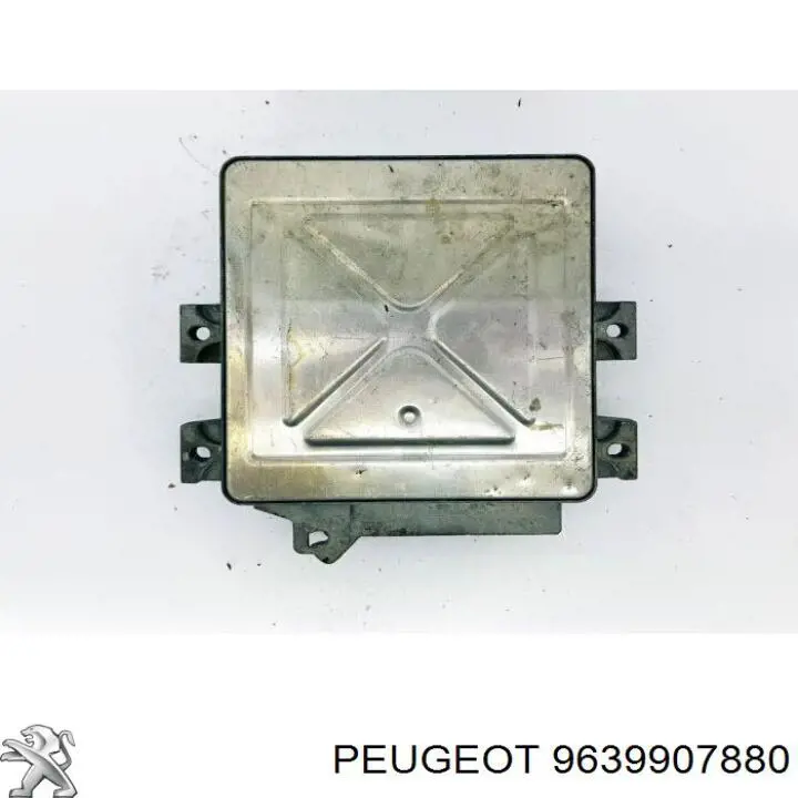 9639907880 Peugeot/Citroen 
