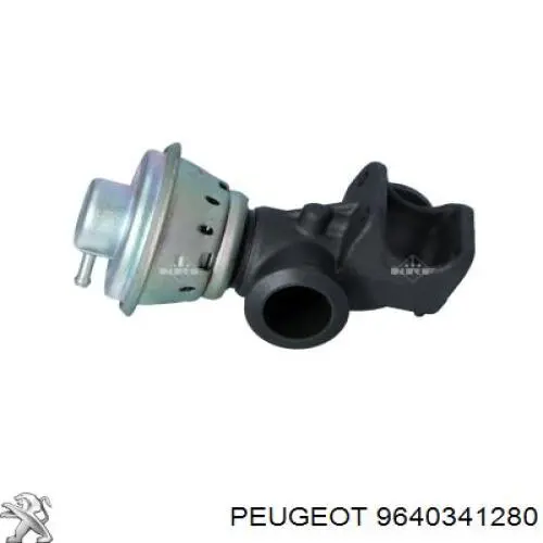 Клапан EGR рециркуляції газів Fiat/Alfa/Lancia 9640341280