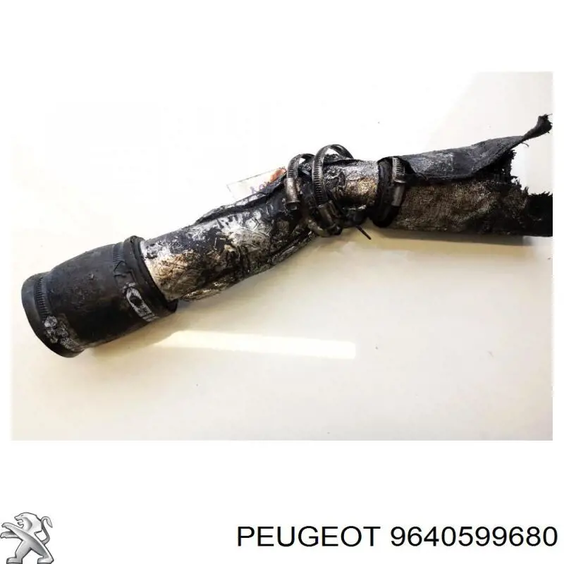  9640599680 Peugeot/Citroen