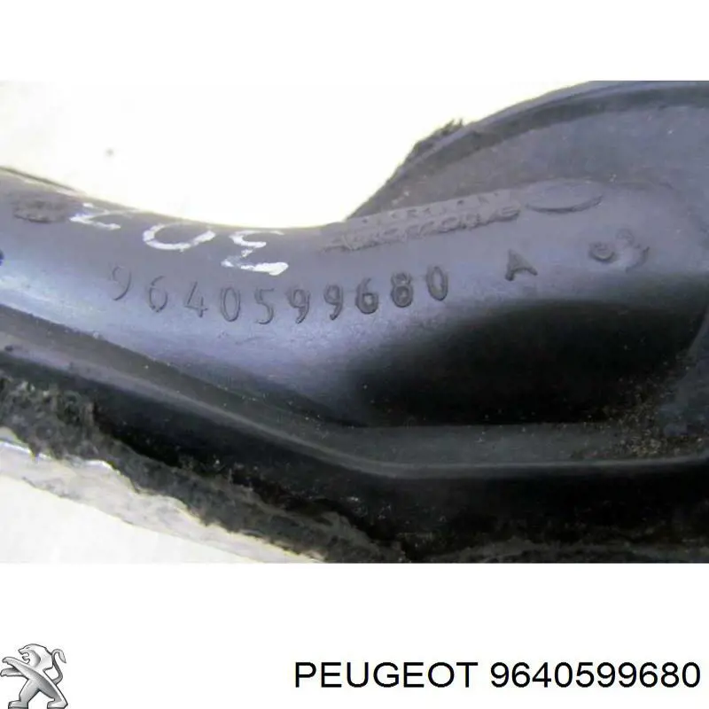 9640599680 Peugeot/Citroen 