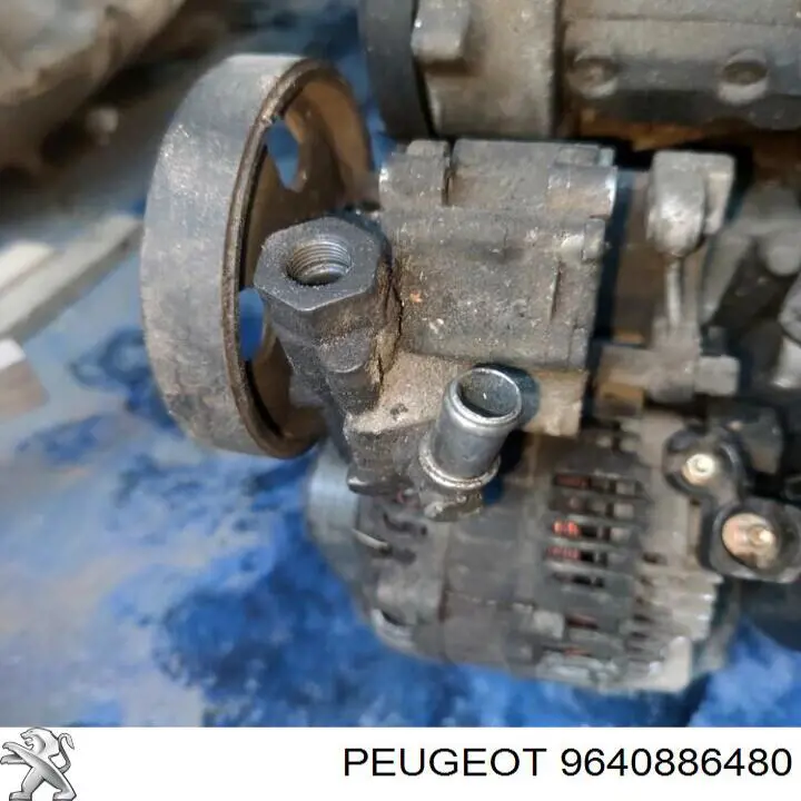 9640886480 Peugeot/Citroen 