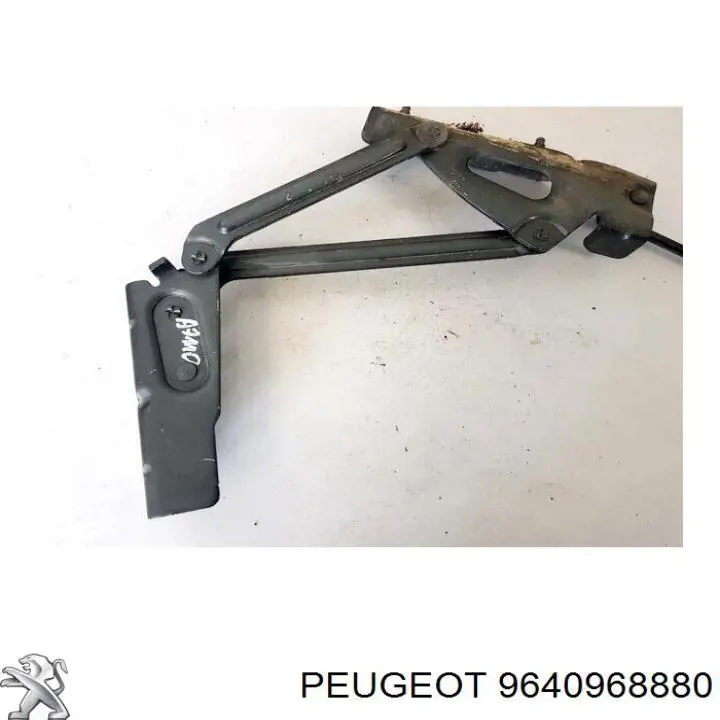 Купити 9640968880 Peugeot/Citroen 