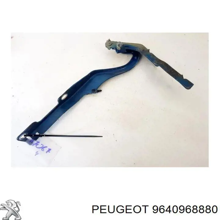  9640968880 Peugeot/Citroen