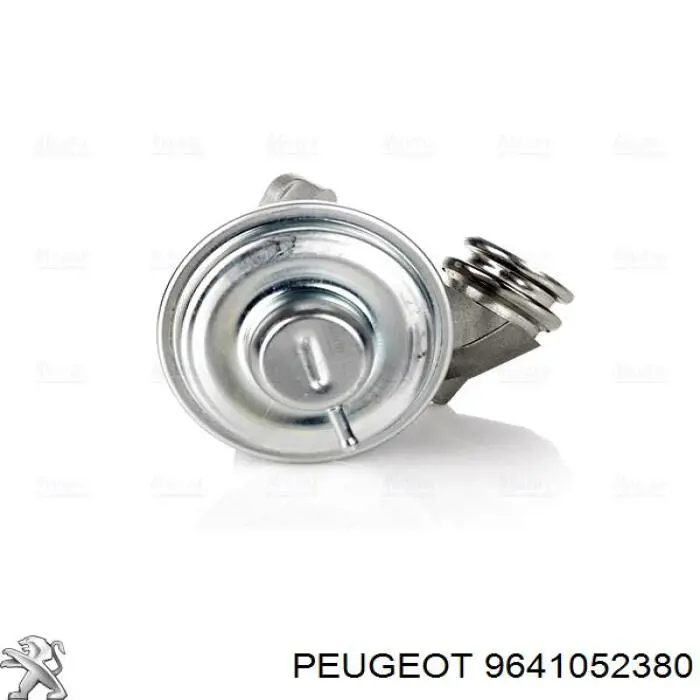 Клапан EGR Peugeot/Citroen 9641052380 ціна, від 46.62 USD