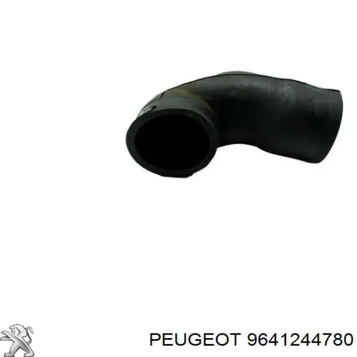  9641244780 Peugeot/Citroen
