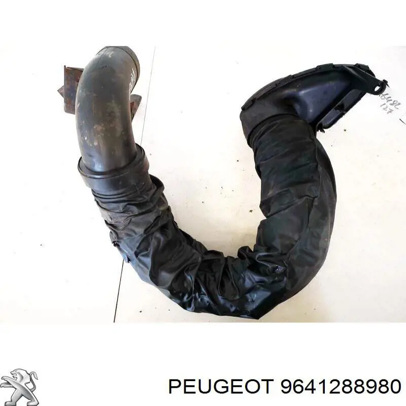  9641288980 Peugeot/Citroen