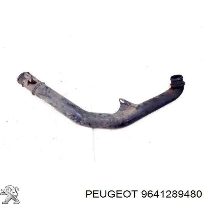 9641289480 Peugeot/Citroen 