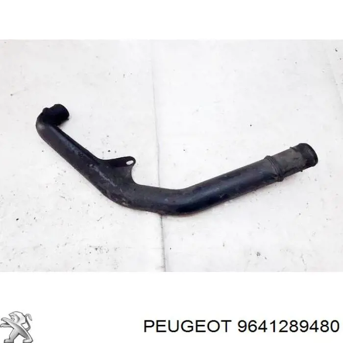 Купити 9641289480 Peugeot/Citroen 