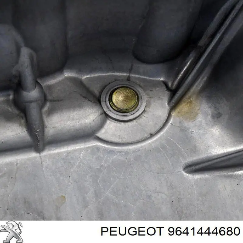 9641444680 Peugeot/Citroen 