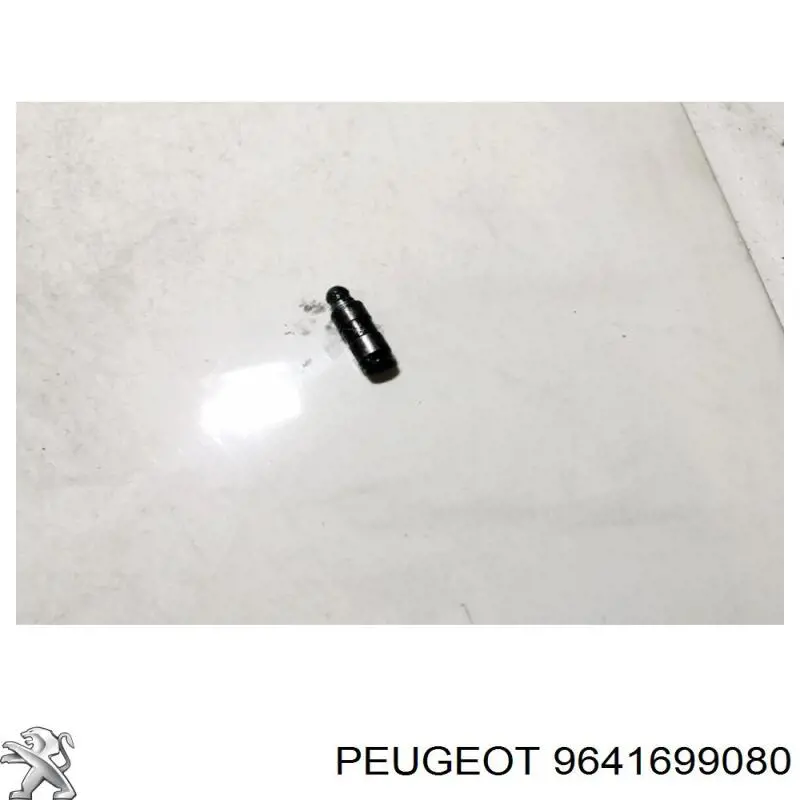  9641699080 Peugeot/Citroen