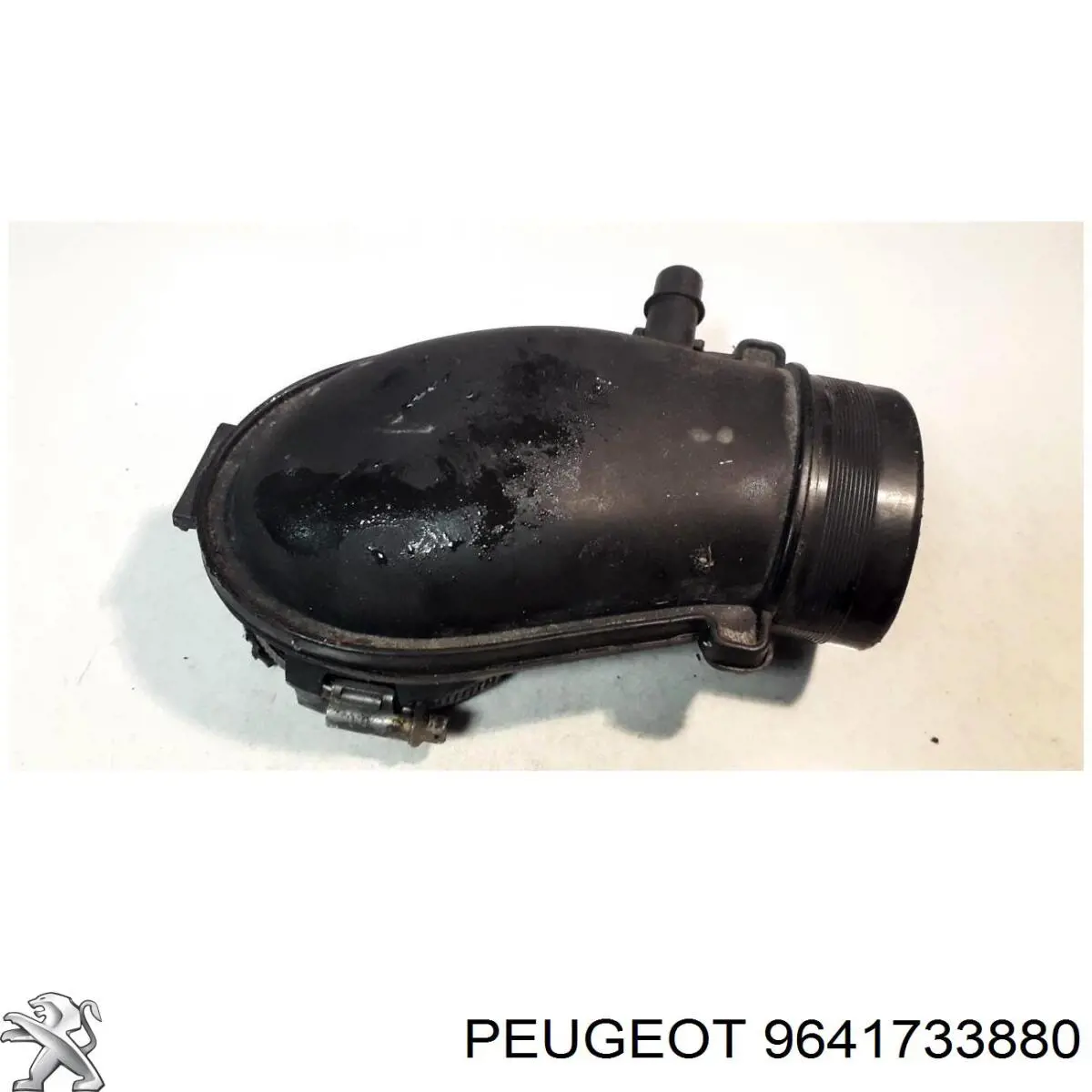 Купити 9641733880 Peugeot/Citroen 