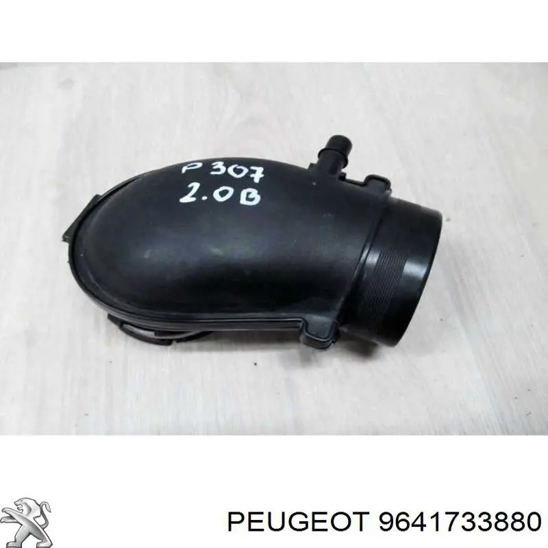  9641733880 Peugeot/Citroen
