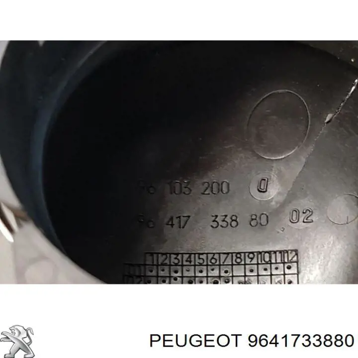  Peugeot/Citroen 9641733880