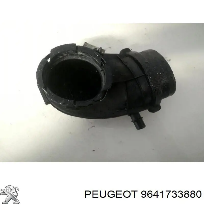 9641733880 Peugeot/Citroen 