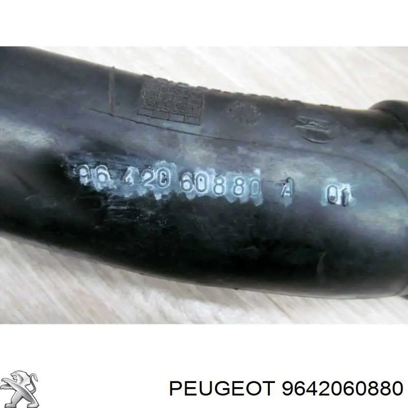Купити 9642060880 Peugeot/Citroen 