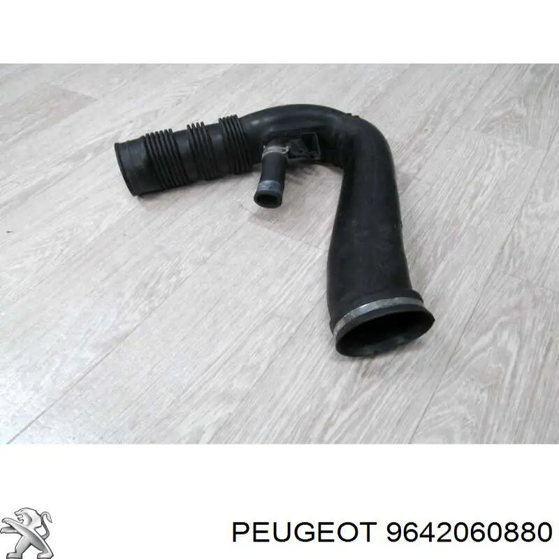  9642060880 Peugeot/Citroen