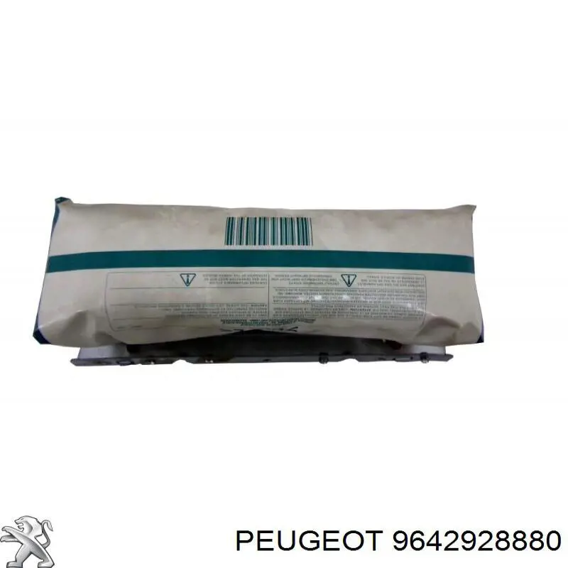 9642928880 Peugeot/Citroen 
