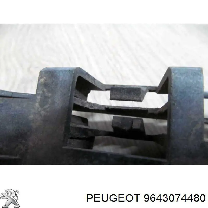 9643074480 Peugeot/Citroen 