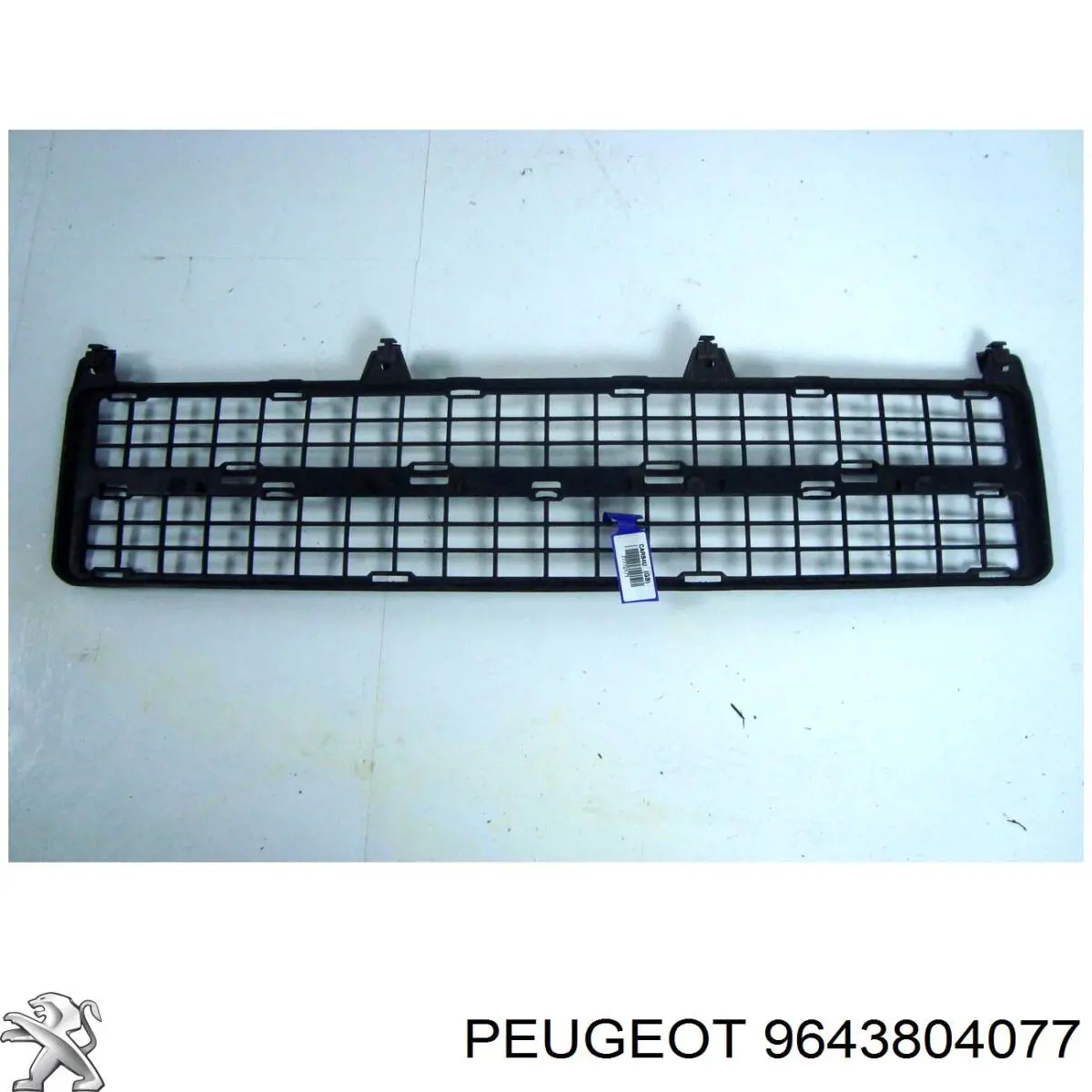 9643804077 Peugeot/Citroen 