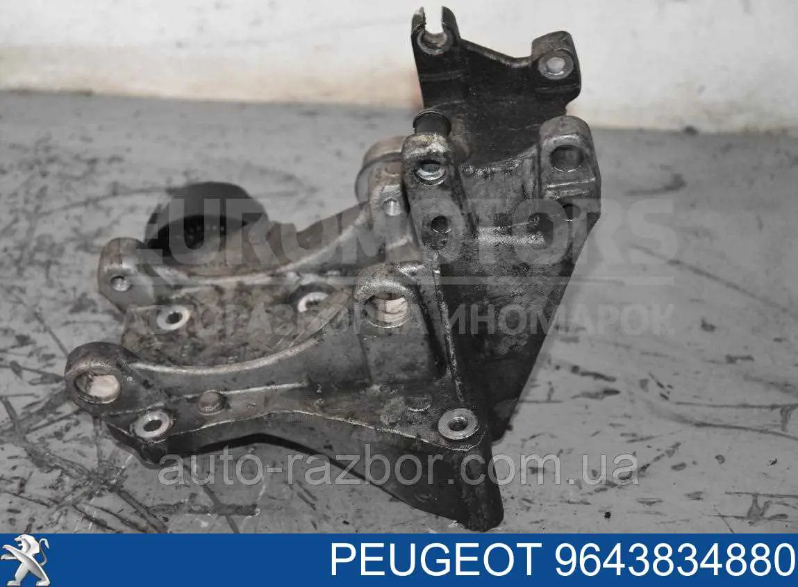 9643834880 Peugeot/Citroen Кронштейн кріплення генератора
