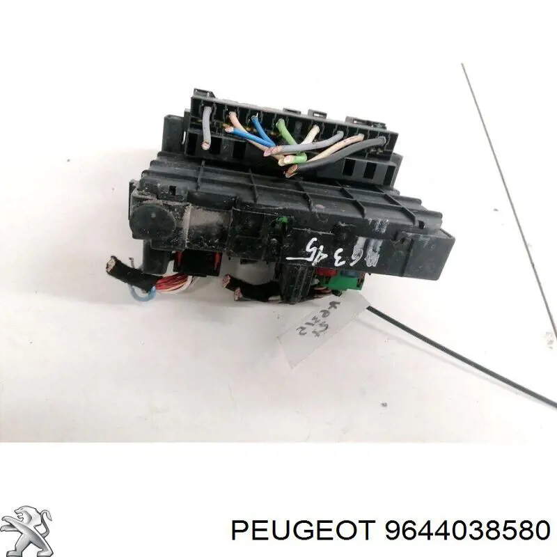 9644038580 Peugeot/Citroen 