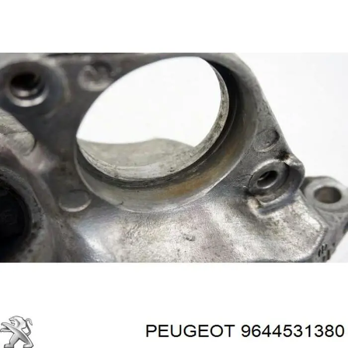 Купити 9644531380 Peugeot/Citroen 
