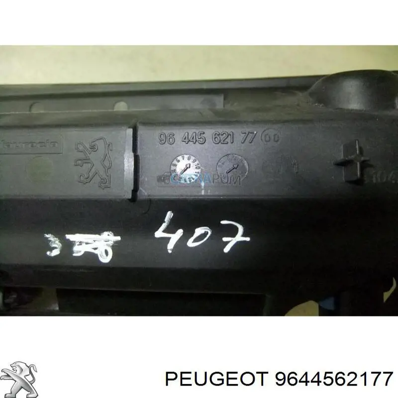 9644562177 Peugeot/Citroen 