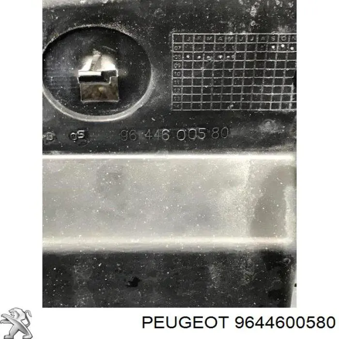  9644600580 Peugeot/Citroen
