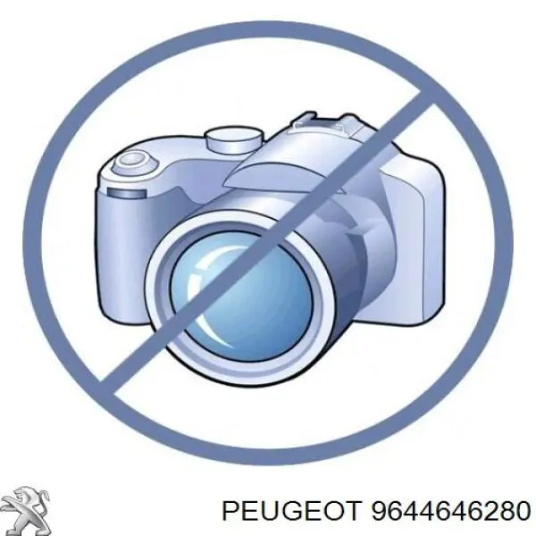 Купити 9644646280 Peugeot/Citroen 