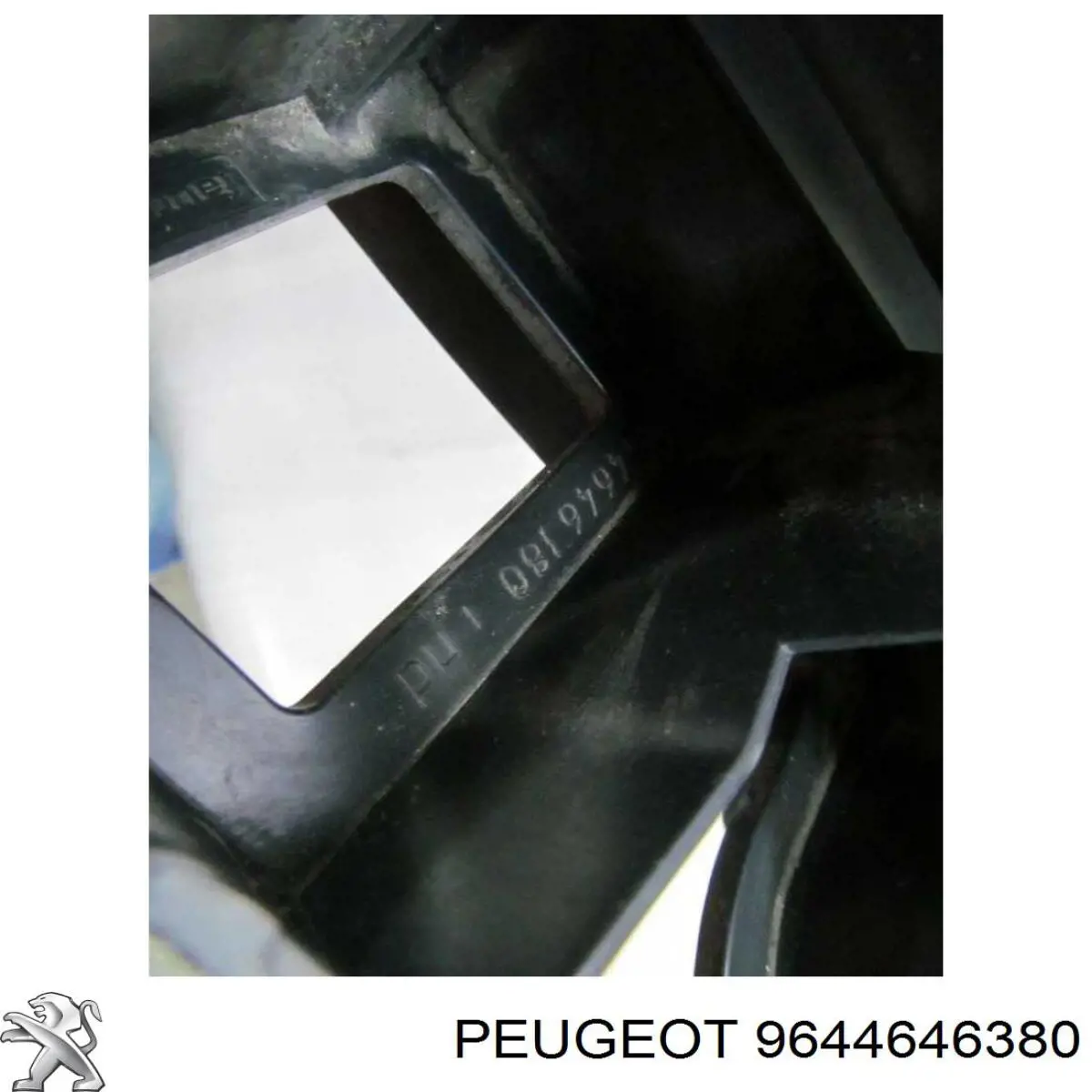 Купити 9644646380 Peugeot/Citroen 