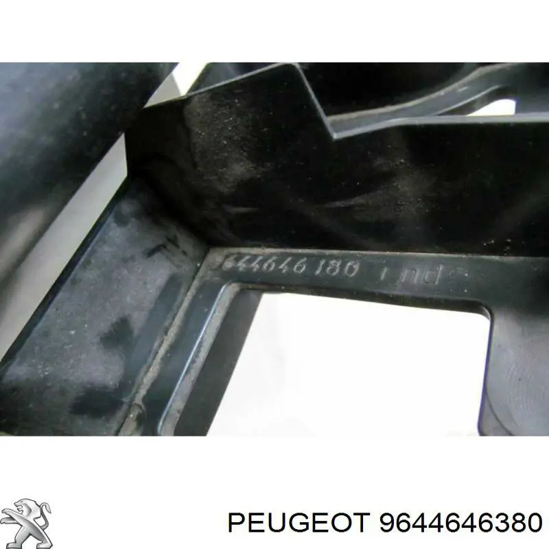  9644646380 Peugeot/Citroen