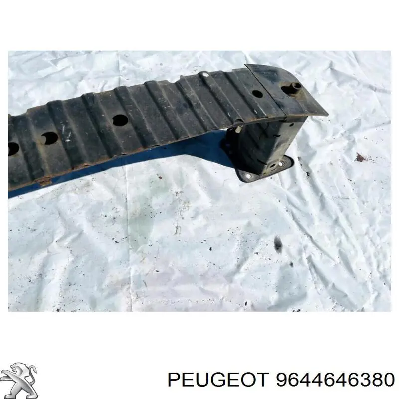 9644646380 Peugeot/Citroen 