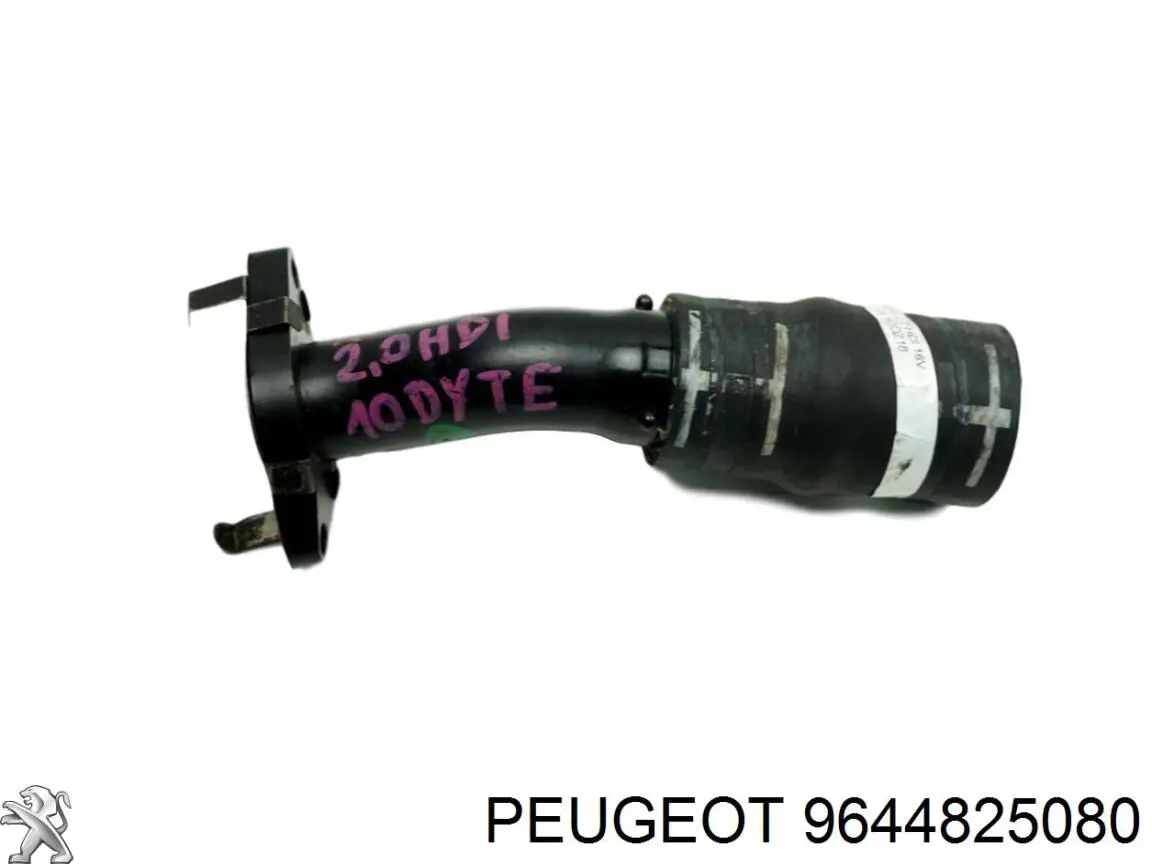 9644825080 Peugeot/Citroen 