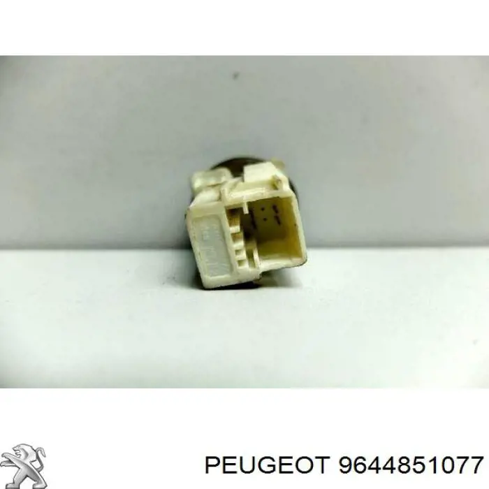  9644851077 Peugeot/Citroen