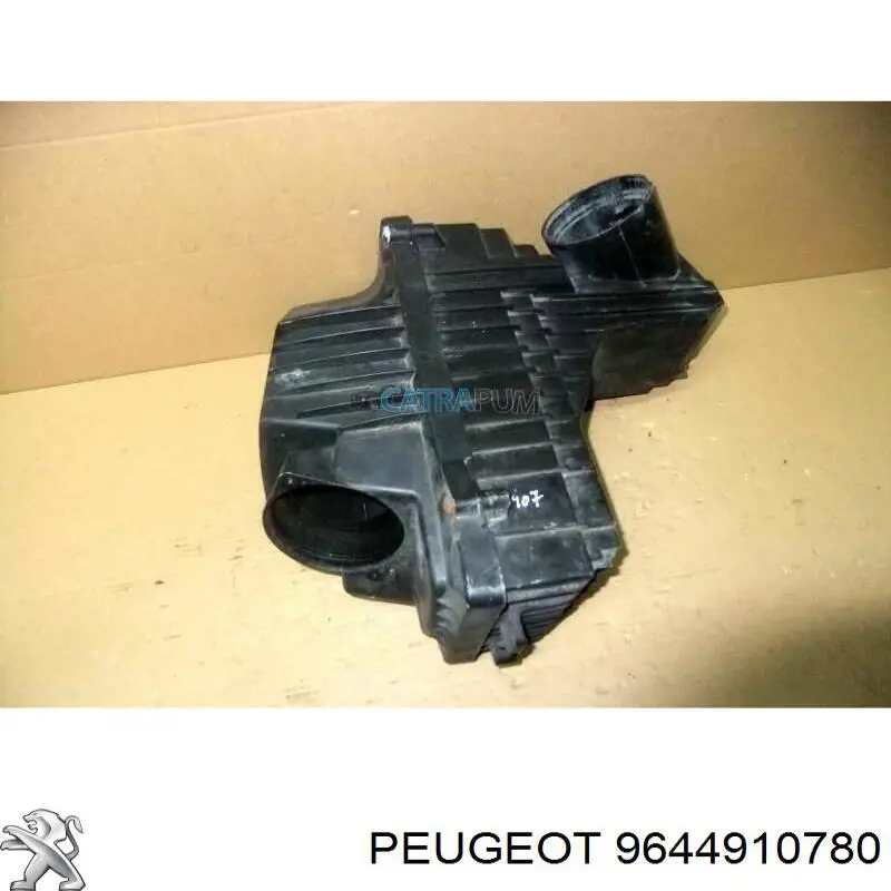  9644910780 Peugeot/Citroen