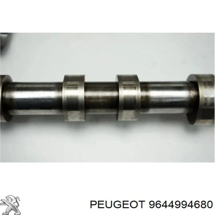 Купити 9644994680 Peugeot/Citroen Корпус распредвала