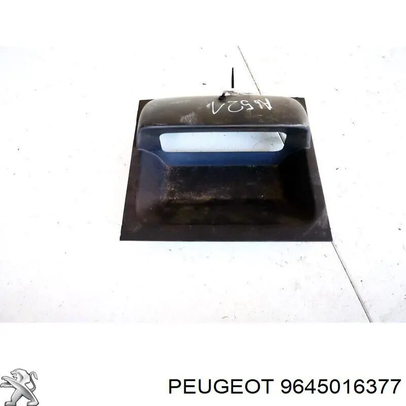 9645016377 Peugeot/Citroen 
