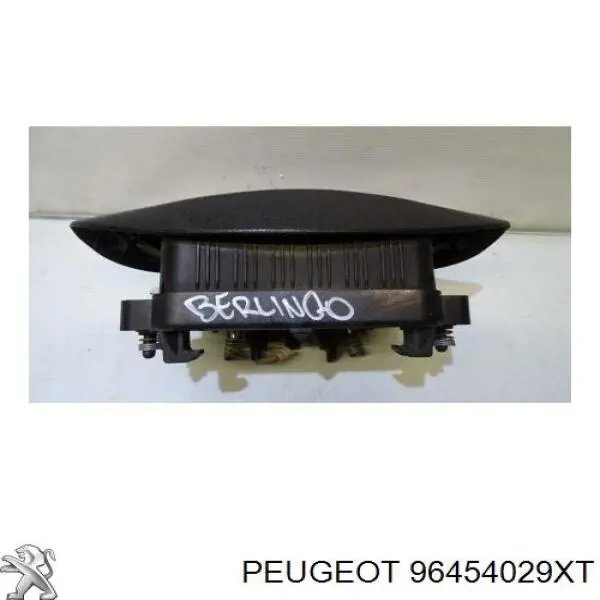 96454029XT Peugeot/Citroen 