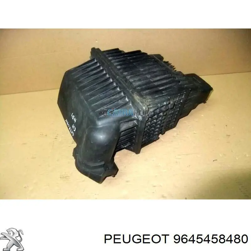  9645458480 Peugeot/Citroen
