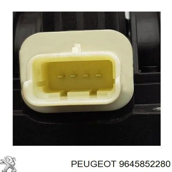 9645852280 Peugeot/Citroen 