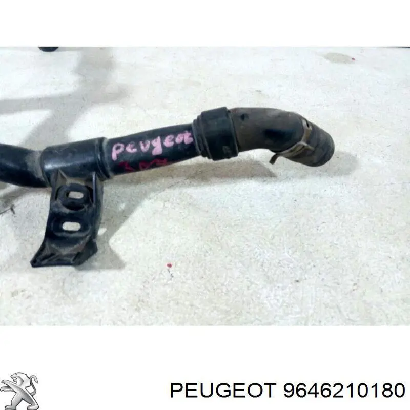 9646210180 Peugeot/Citroen 
