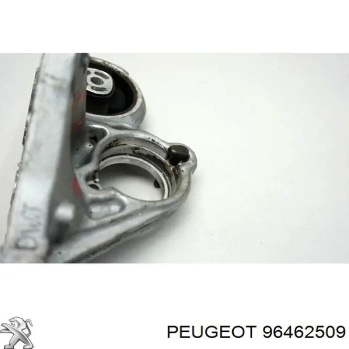  96462509 Peugeot/Citroen