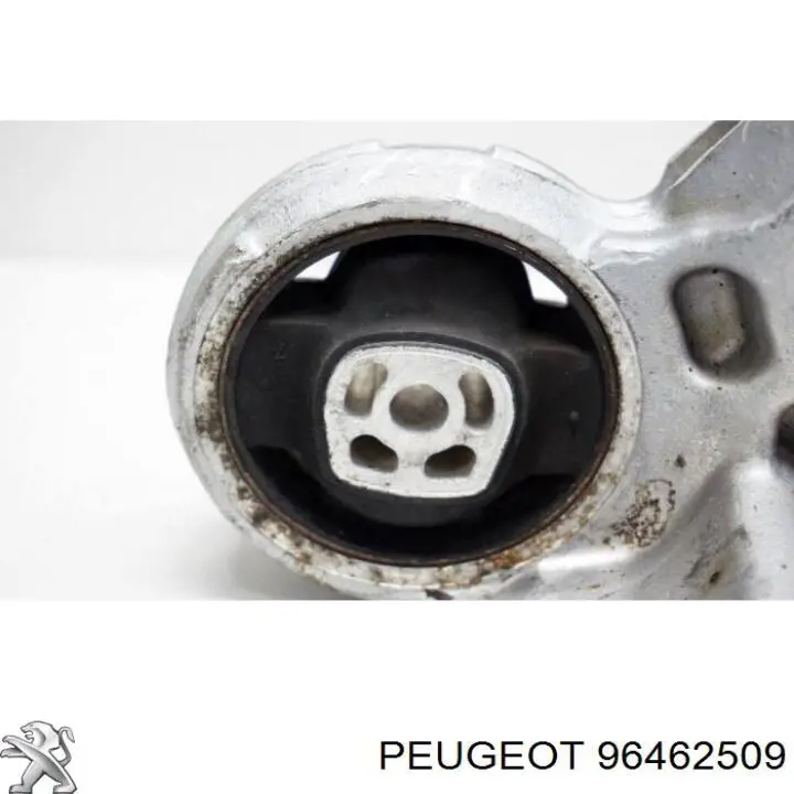  Peugeot/Citroen 96462509 ціна, від 7.03 USD