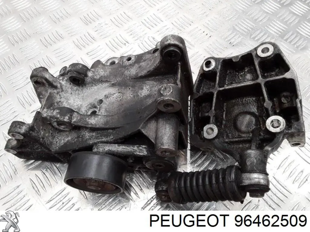 Купити 96462509 Peugeot/Citroen 