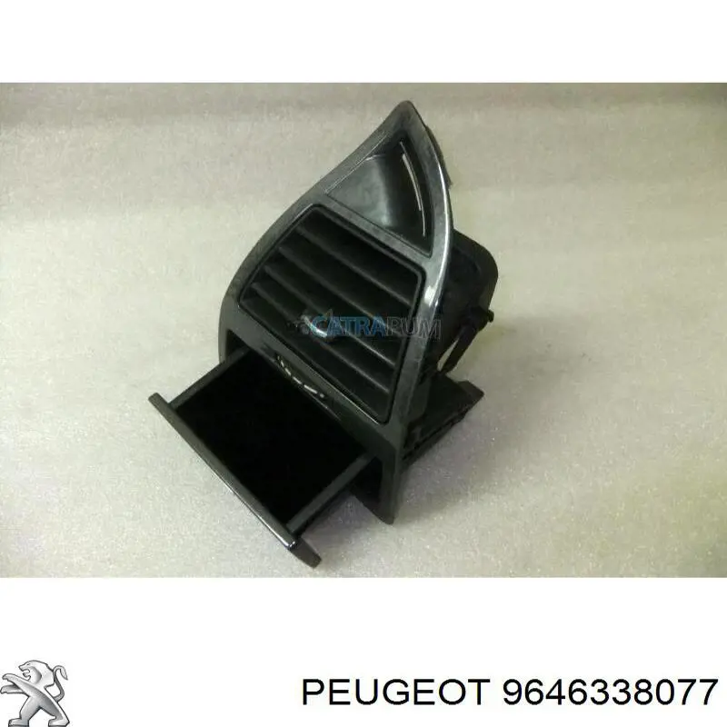 9646338077 Peugeot/Citroen