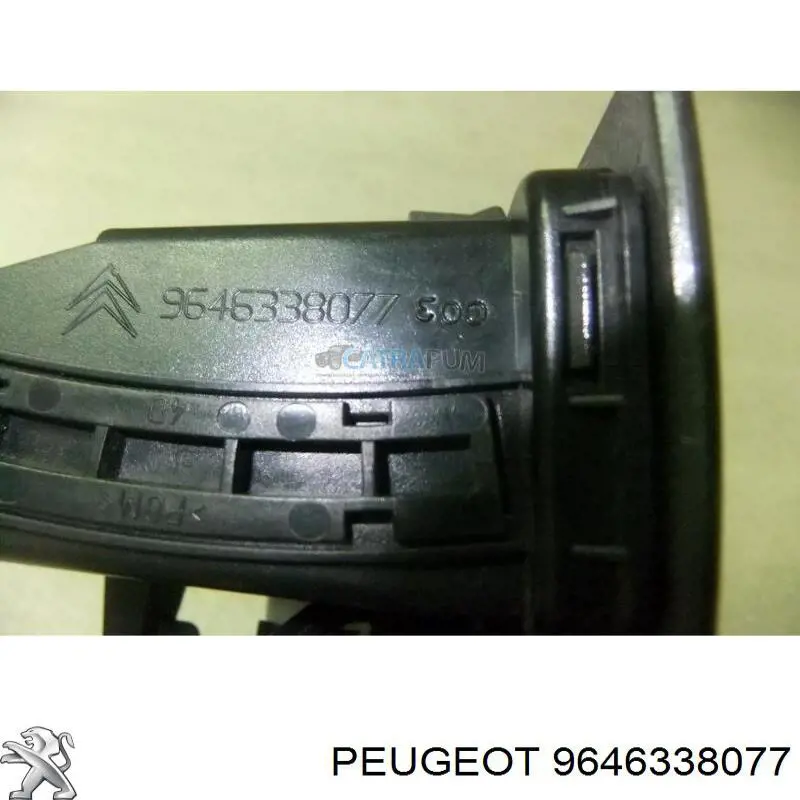 9646338077 Peugeot/Citroen 