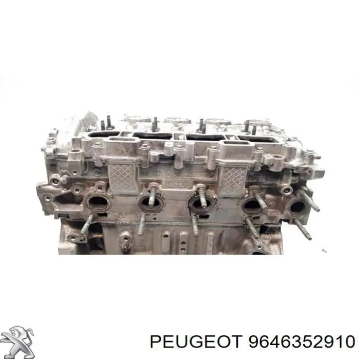 9646352910 Peugeot/Citroen 